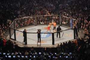 UFC Fight in the octagan
