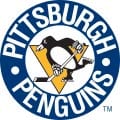 pittsburgh penguins