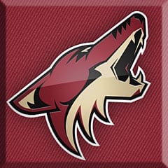 Coyotes NHL Team