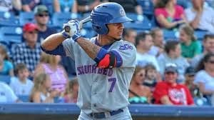 Gleyber Torres was Cubs' top prospect.