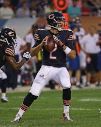 Brian Hoyer is hurt.