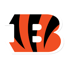 Cincinnati Bengals 2017 NFL Preview