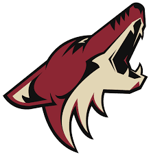 Arizona Coyotes 2017-2018 Season Preview