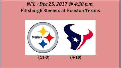 Pittsburgh Plays Houston 2017 NFL Pick- Sports Betting