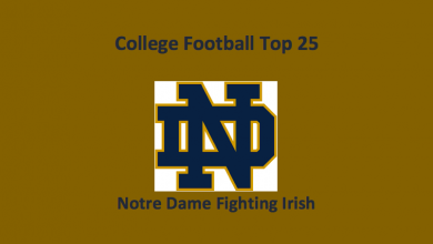 Notre Dame Fighting Irish Preview 2019