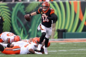 NFL week 17 Browns at Bengals free pick