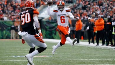 NFL week 17 Browns at Bengals free pick