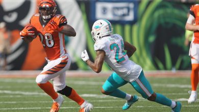 NFL week 16 Bengals at Dolphins free pick