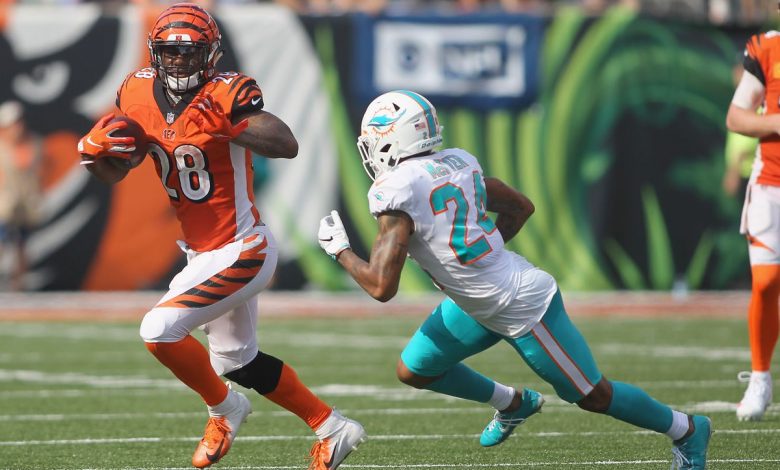 NFL week 16 Bengals at Dolphins free pick