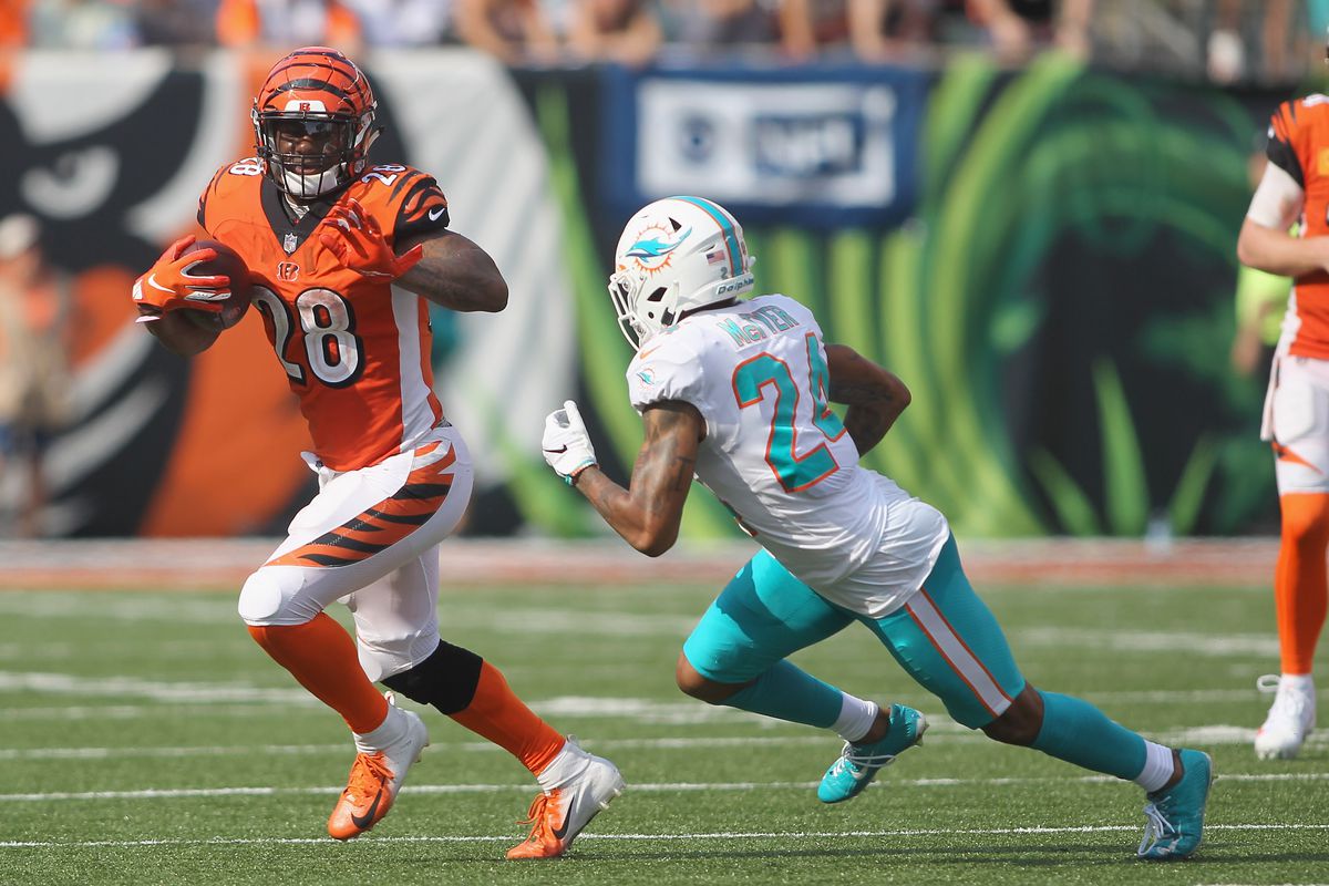 NFL week 16 Bengals at Dolphins free pick