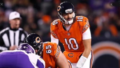 NFL week 17 Bears at Vikings free pick