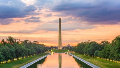 Washington D.C Sees nice Sports Betting Increase in May