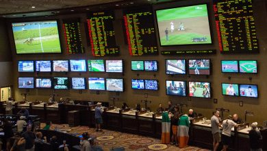 Wyoming Sees Opening Month of Sports Betting over $6M