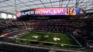 No Surprise! Nevada Sportsbooks Set Record for Super Bowl Betting