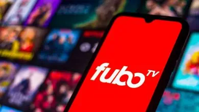 Mobile Betting OK'd in Tennessee for Fubo Sportsbook