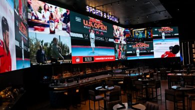 Mobile Sports Betting is Unlikely in Maryland This Year