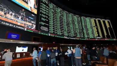 Arizona's Sportsbooks Generate $55.2 Million in Revenue, Setting a New State Record in May