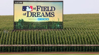 Cubs vs Reds Field of Dreams betting