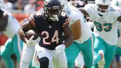Dolphins at Bears betting