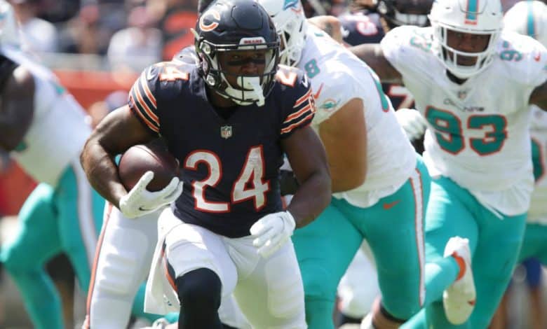 Dolphins at Bears betting