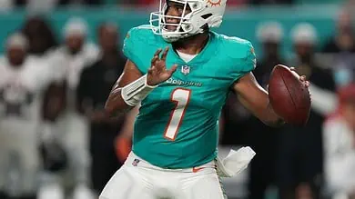 Dolphins Tua