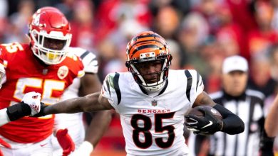 week 17 Bengals at Chiefs