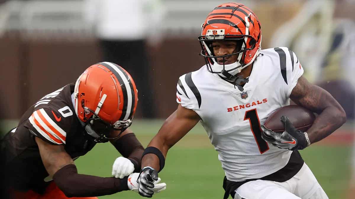 week 18 Browns at Bengals